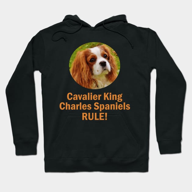 Cavalier King Charles Spaniels Rule! Hoodie by Naves